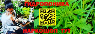 дмт Шебекино