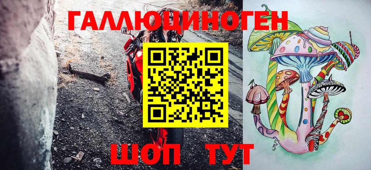 Борзя  Галлюциногенные грибы Psilocybine cubensis  Вход с VPN 