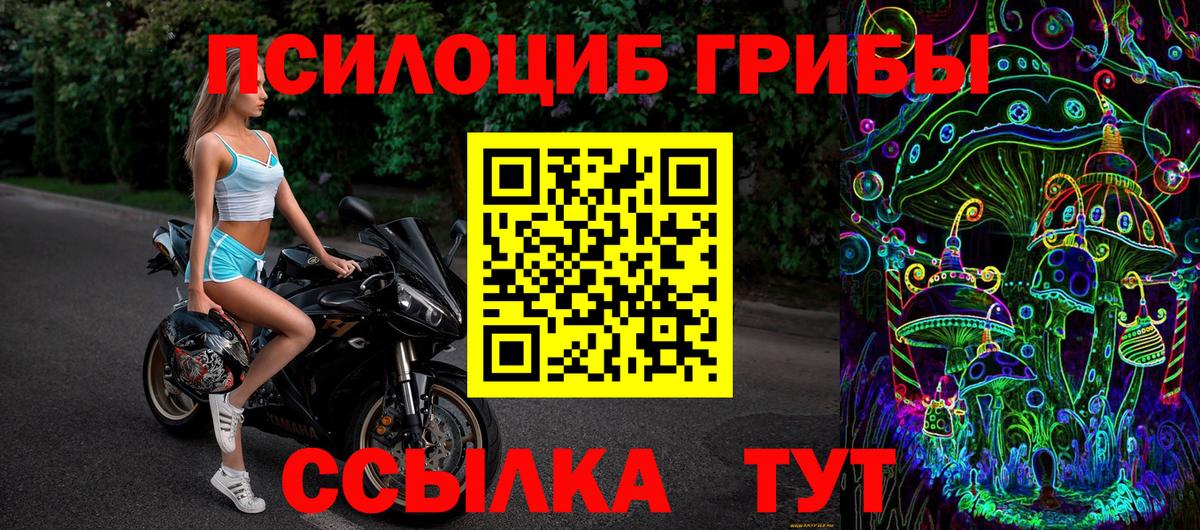 Галлюциногенные грибы мухоморы Борзя